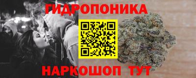 крисы Апшеронск