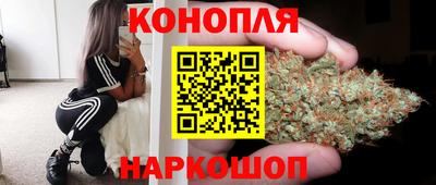 крисы Апшеронск