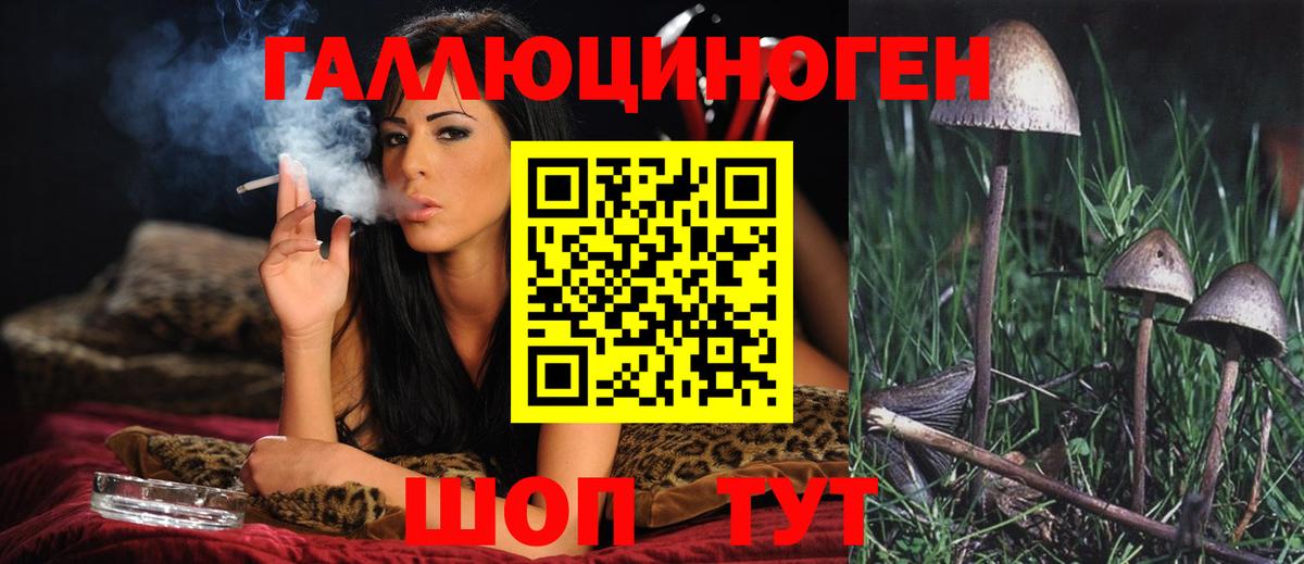 Бахчисарай  Галлюциногенные грибы Psilocybe  Вход с VPN 